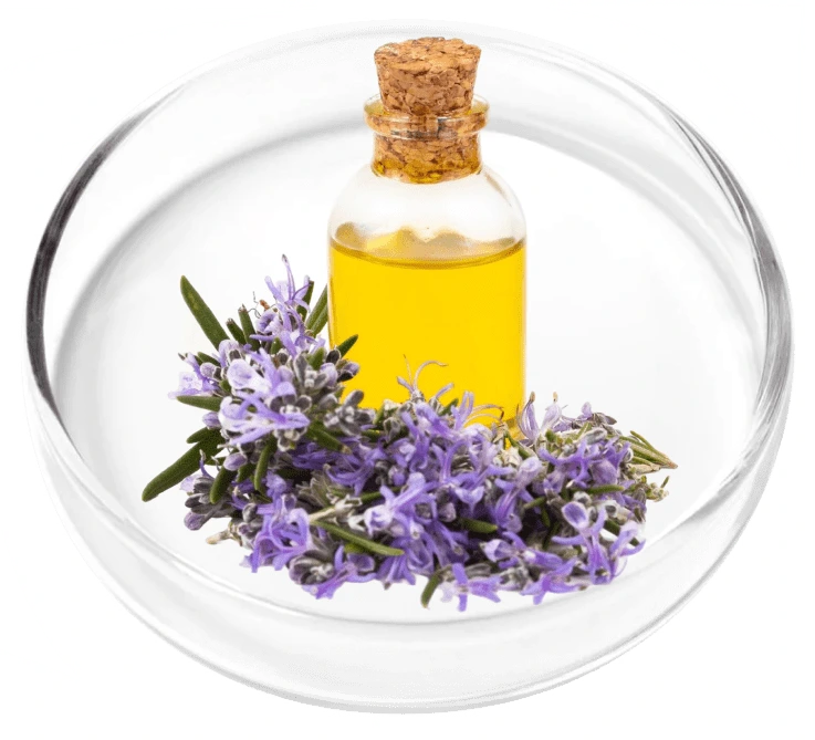 Lavender Oil